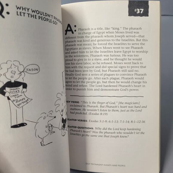 102 Questions Children Ask about the Bible Book David R. Beerman 1994 Paperback - Picture 5 of 14